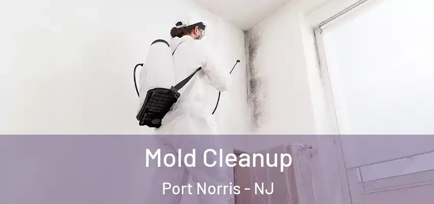 Mold Cleanup Port Norris - NJ