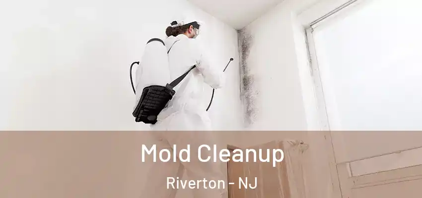  Mold Cleanup Riverton - NJ