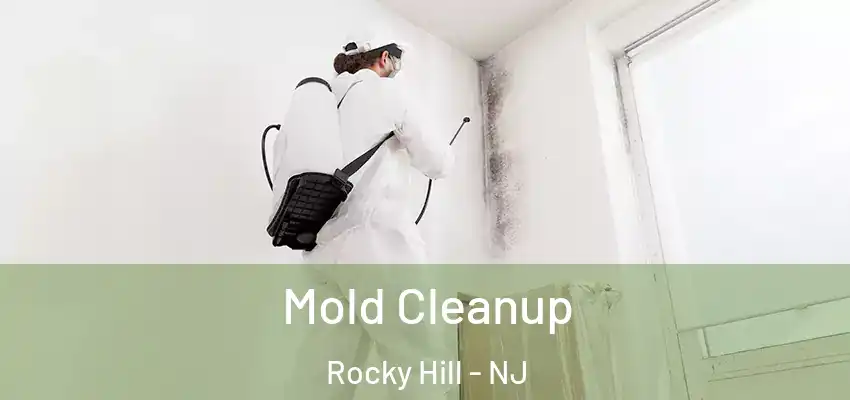 Mold Cleanup Rocky Hill - NJ