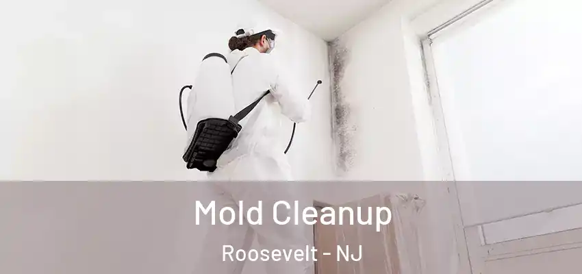  Mold Cleanup Roosevelt - NJ