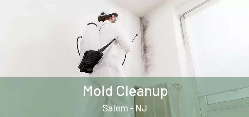  Mold Cleanup Salem - NJ