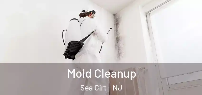 Mold Cleanup Sea Girt - NJ