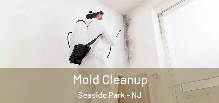 Mold Cleanup Seaside Park - NJ
