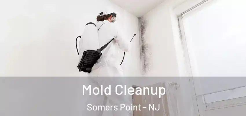 Mold Cleanup Somers Point - NJ