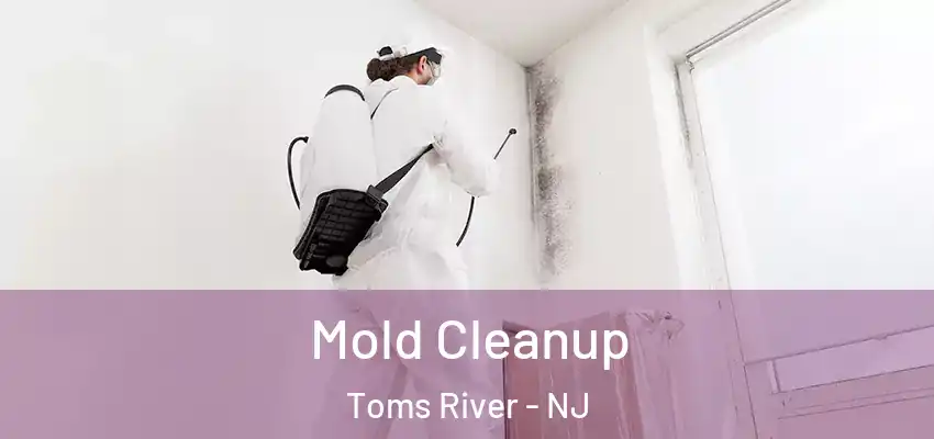  Mold Cleanup Toms River - NJ