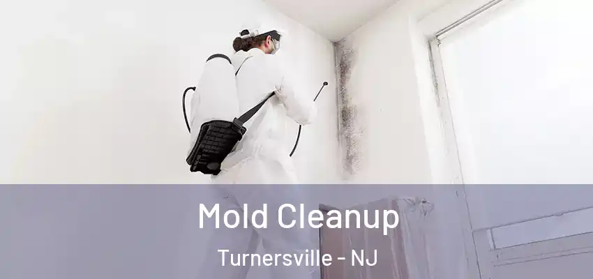 Mold Cleanup Turnersville - NJ