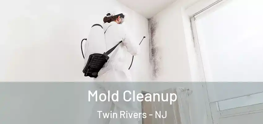Mold Cleanup Twin Rivers - NJ