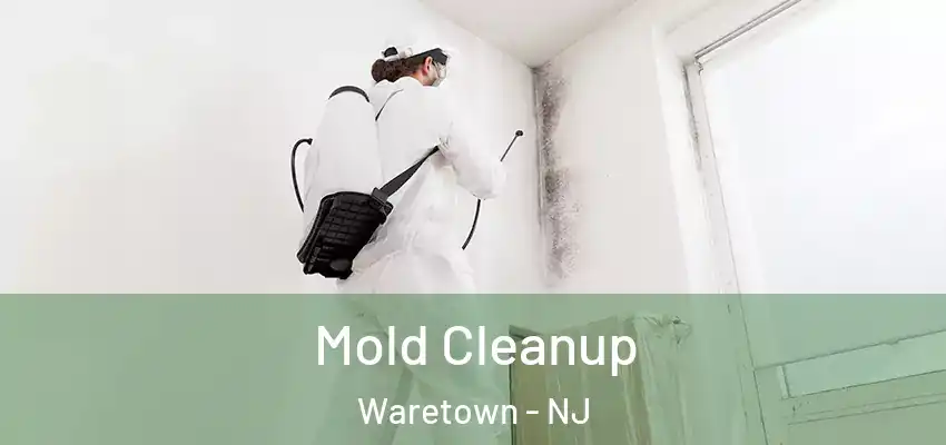  Mold Cleanup Waretown - NJ