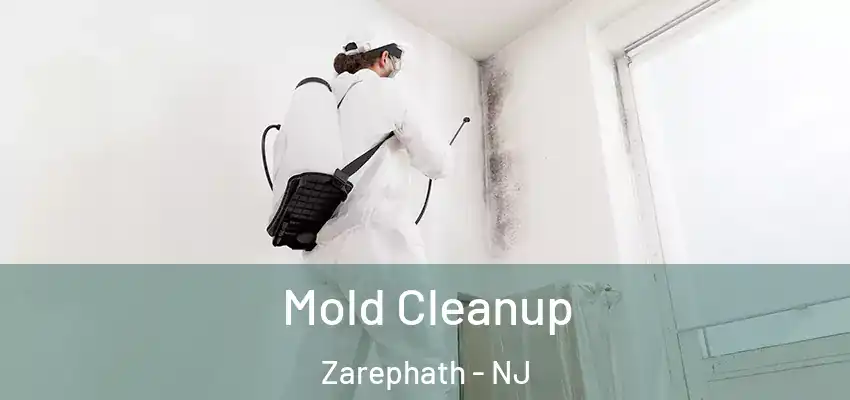  Mold Cleanup Zarephath - NJ