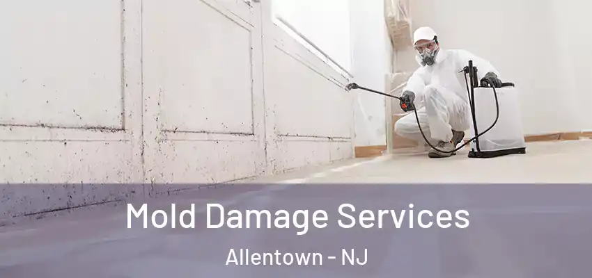  Mold Damage Services Allentown - NJ