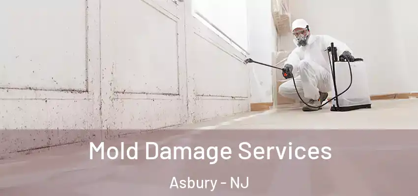  Mold Damage Services Asbury - NJ