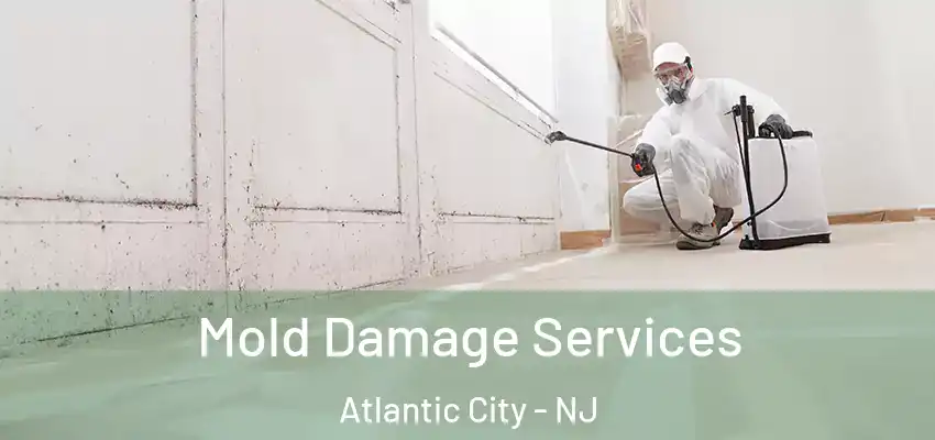 Mold Damage Services Atlantic City - NJ