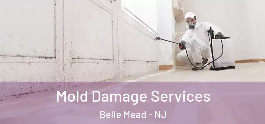  Mold Damage Services Belle Mead - NJ
