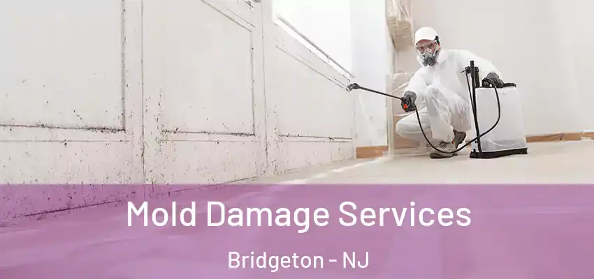 Mold Damage Services Bridgeton - NJ