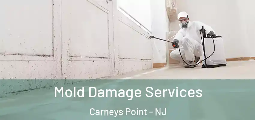  Mold Damage Services Carneys Point - NJ