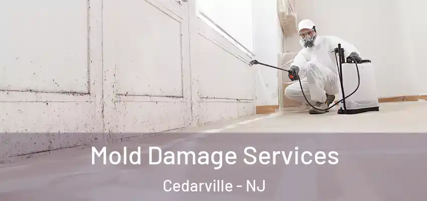  Mold Damage Services Cedarville - NJ