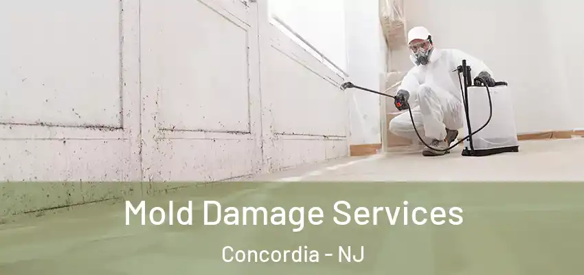  Mold Damage Services Concordia - NJ