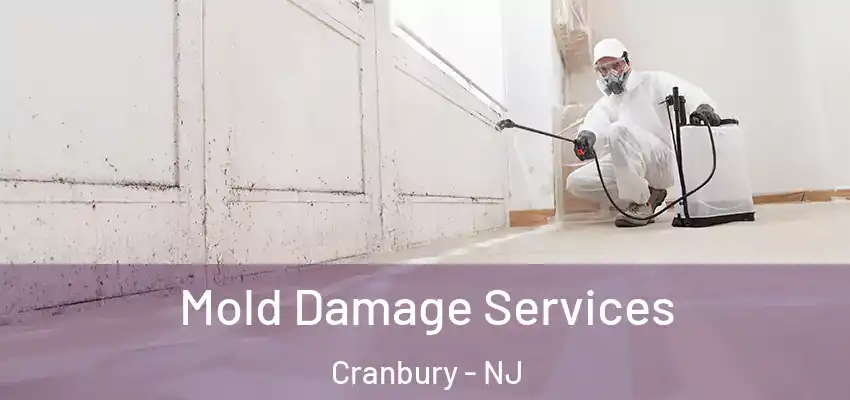  Mold Damage Services Cranbury - NJ