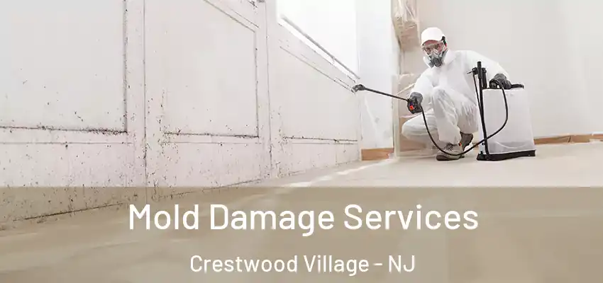  Mold Damage Services Crestwood Village - NJ