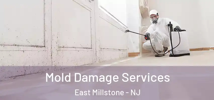  Mold Damage Services East Millstone - NJ
