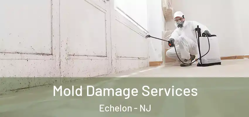  Mold Damage Services Echelon - NJ