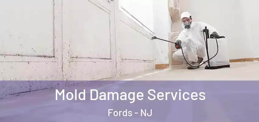 Mold Damage Services Fords - NJ