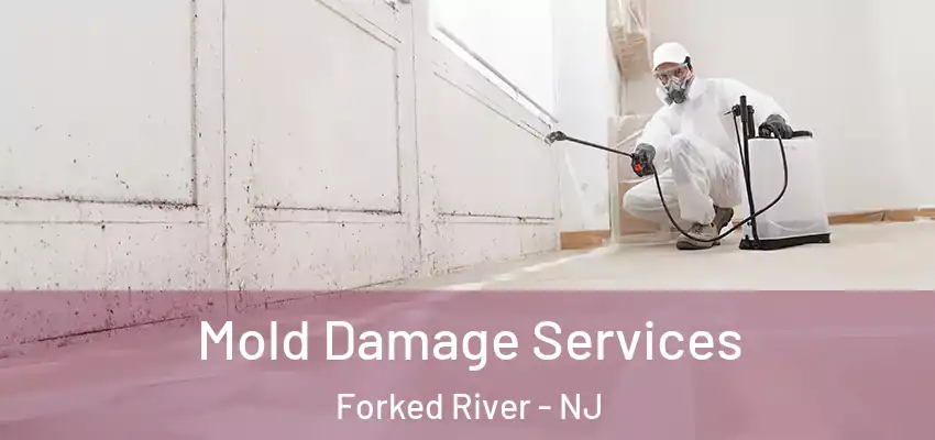 Mold Damage Services Forked River - NJ