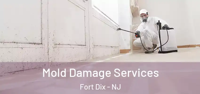  Mold Damage Services Fort Dix - NJ