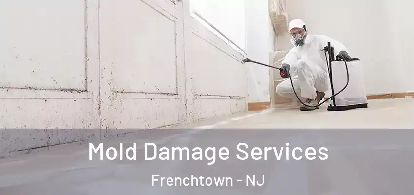 Mold Damage Services Frenchtown - NJ