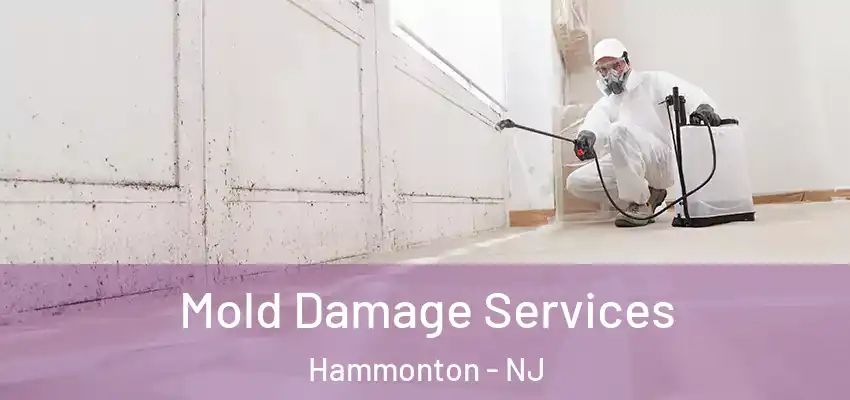 Mold Damage Services Hammonton - NJ