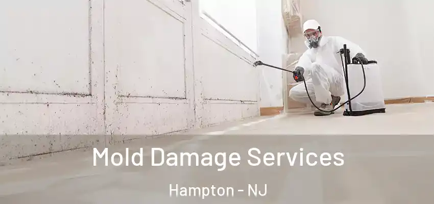  Mold Damage Services Hampton - NJ