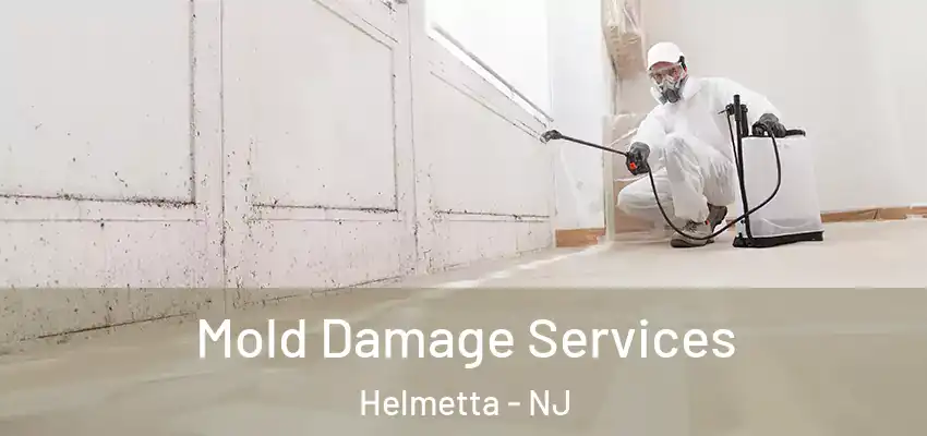  Mold Damage Services Helmetta - NJ