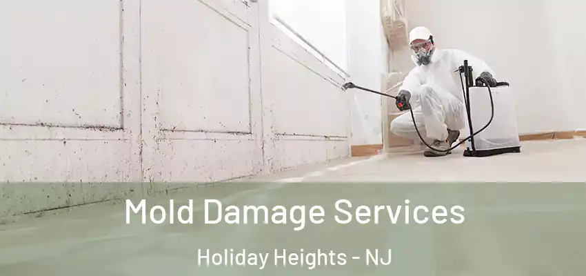 Mold Damage Services Holiday Heights - NJ