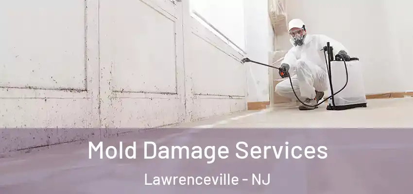  Mold Damage Services Lawrenceville - NJ