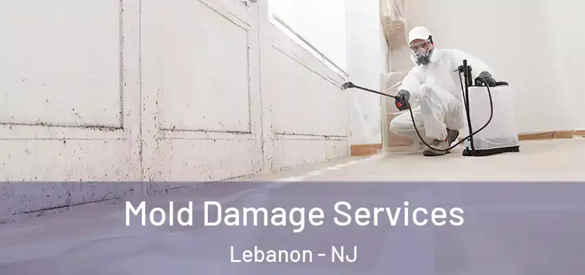 Mold Damage Services Lebanon - NJ