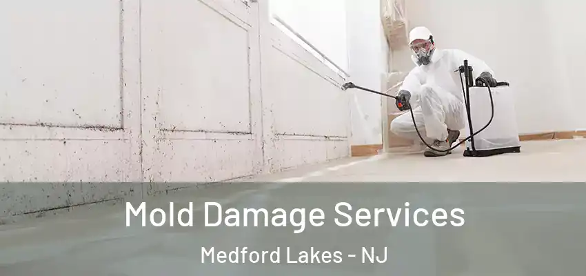 Mold Damage Services Medford Lakes - NJ
