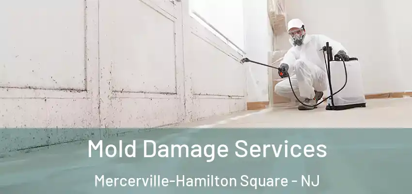  Mold Damage Services Mercerville-Hamilton Square - NJ