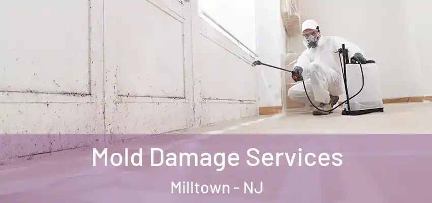  Mold Damage Services Milltown - NJ