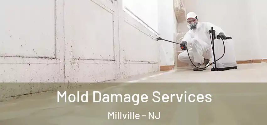  Mold Damage Services Millville - NJ