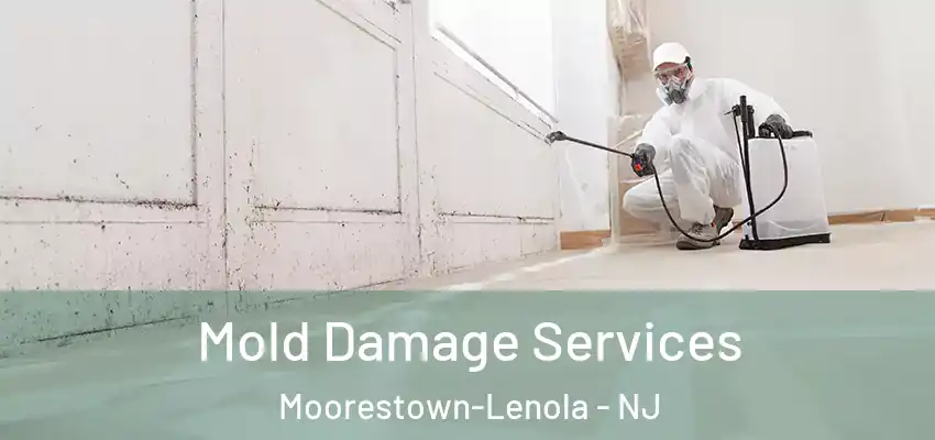 Mold Damage Services Moorestown-Lenola - NJ