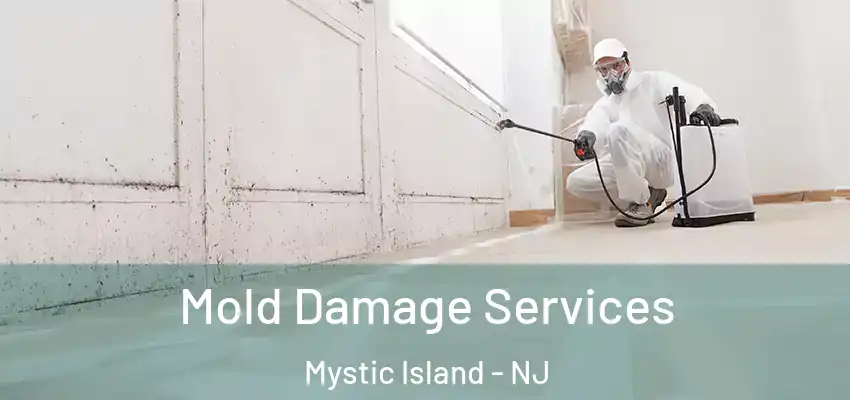 Mold Damage Services Mystic Island - NJ