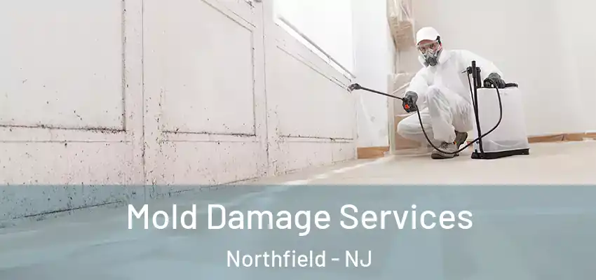 Mold Damage Services Northfield - NJ