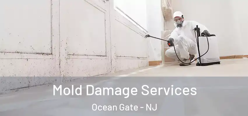  Mold Damage Services Ocean Gate - NJ