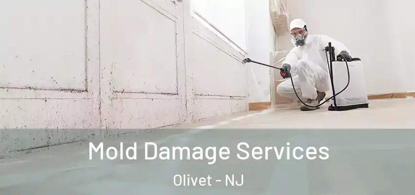 Mold Damage Services Olivet - NJ