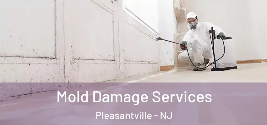 Mold Damage Services Pleasantville - NJ