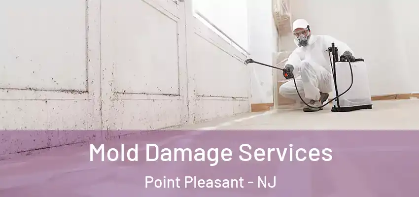  Mold Damage Services Point Pleasant - NJ