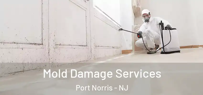 Mold Damage Services Port Norris - NJ