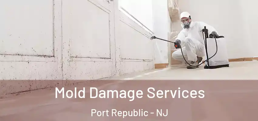 Mold Damage Services Port Republic - NJ
