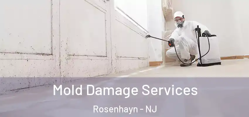 Mold Damage Services Rosenhayn - NJ