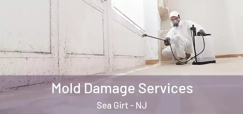  Mold Damage Services Sea Girt - NJ